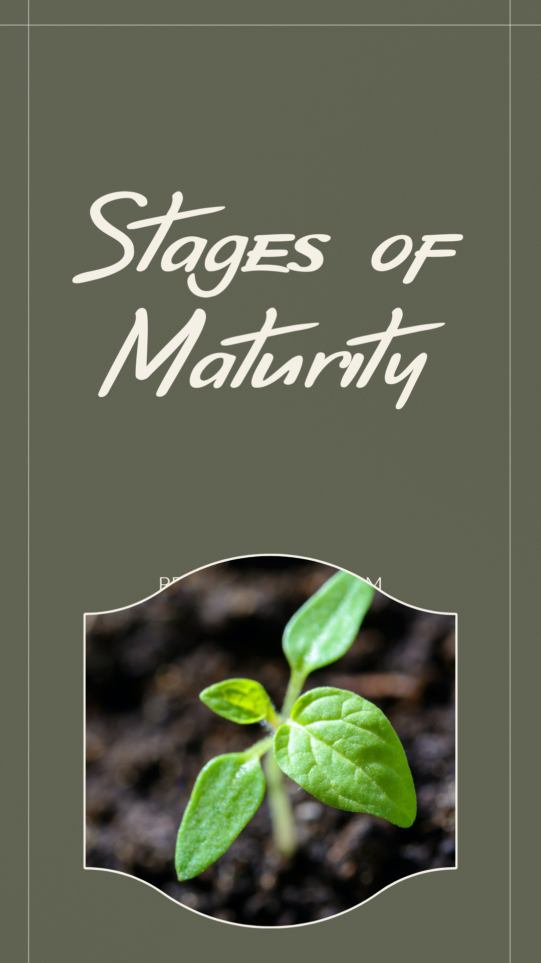 3 stages of a matured person.